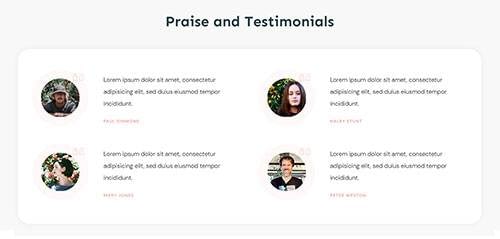 Company - Testimonials - Testimonials 06
