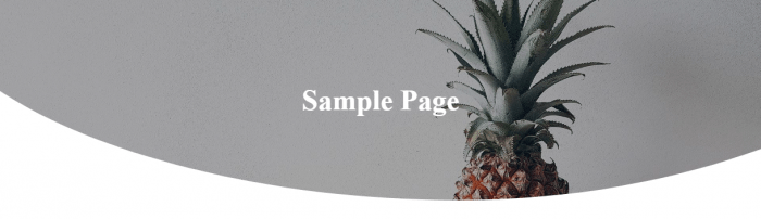 top - Page-Banner---Featured-Image-04