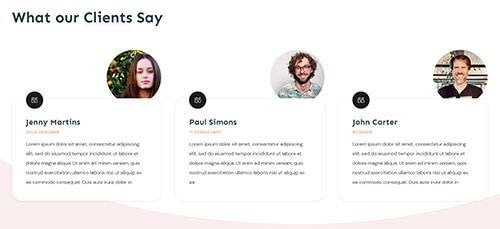 Company - Testimonials - Testimonial 01