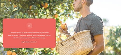 Company - Testimonials - Testimonial 08