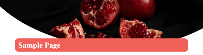 top - Page-Banner---Static-Image-03