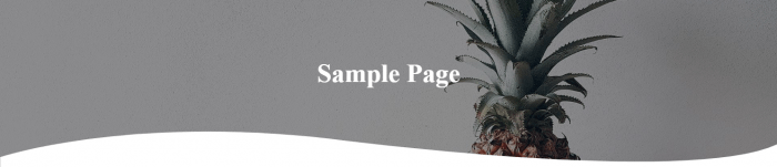 top - Page-Banner---Featured-Image-01