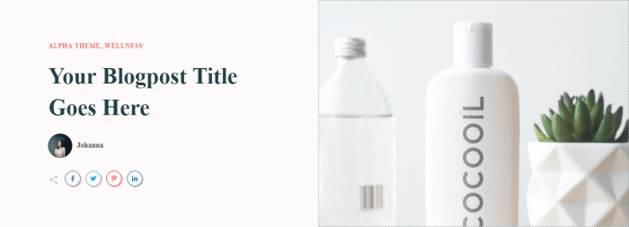 top - Blog-Post---Split-Top-01