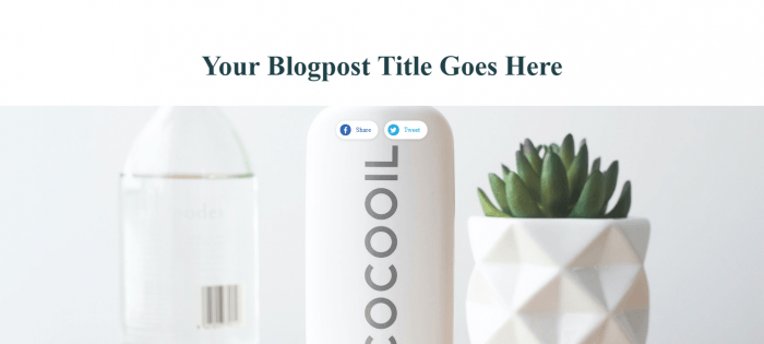 top - Blog-Post---Title-&--Featured-Image