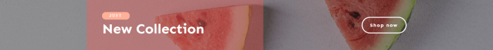 top - WooCommerce-07---Shop-banner