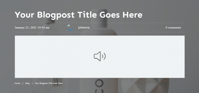 top - Blog-Post---Audio-01