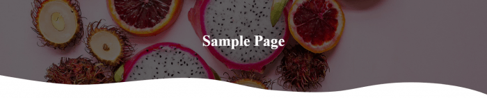 top - Page-Banner---Static-Image-02
