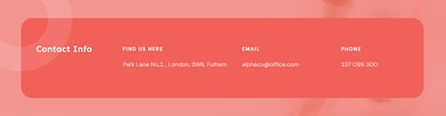 Company - Contact - Contact 01