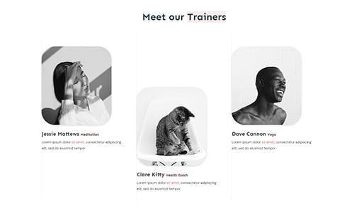 Company - Team - Team 03