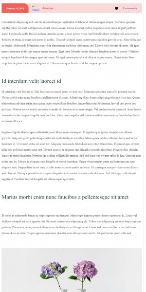 content - Single-Post-02